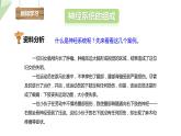 4.6.2 神经系统的组成 课件2023-2024学年初中生物人教版七年级下册
