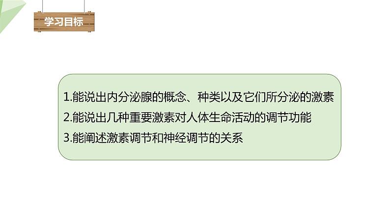 4.6.4 激素调节 课件2023-2024学年初中生物人教版七年级下册03