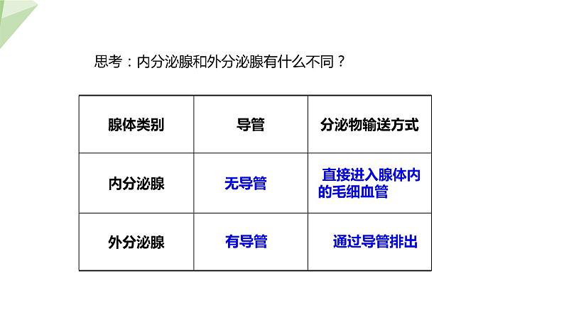 4.6.4 激素调节 课件2023-2024学年初中生物人教版七年级下册05