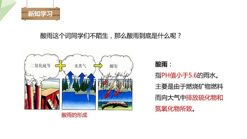 4.7.2-4.7.3 探究环境污染对生物的影响 拟定保护生态环境的计划 课件2023-2024学年初中生物人教版七年级下册04