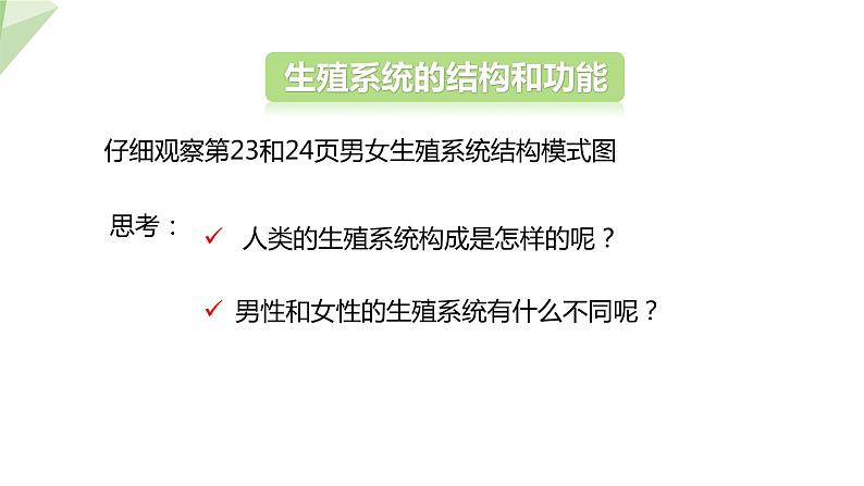 6.1.3 人的生殖和胚胎发育 课件初中生物冀少版八年级下册第5页