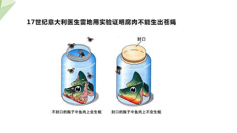 6.3.1 生命的起源 课件初中生物冀少版八年级下册第7页