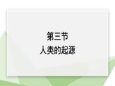 6.3.3 人类的起源 课件初中生物冀少版八年级下册