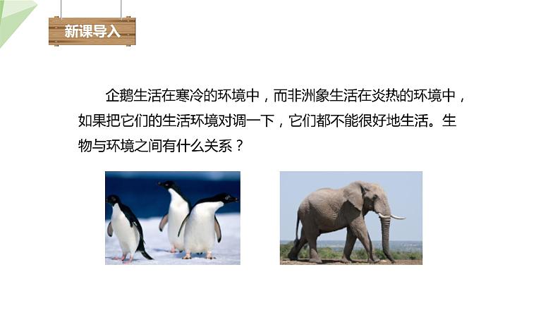 7.1.2 生物对环境的适应和影响 课件初中生物冀少版八年级下册第2页