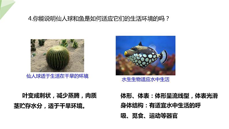 7.1.2 生物对环境的适应和影响 课件初中生物冀少版八年级下册第7页