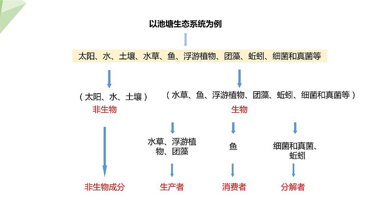 7.2.1 生态系统的组成和类型 课件初中生物冀少版八年级下册07