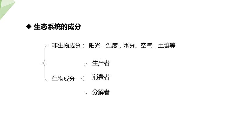 7.2.1 生态系统的组成和类型 课件初中生物冀少版八年级下册08