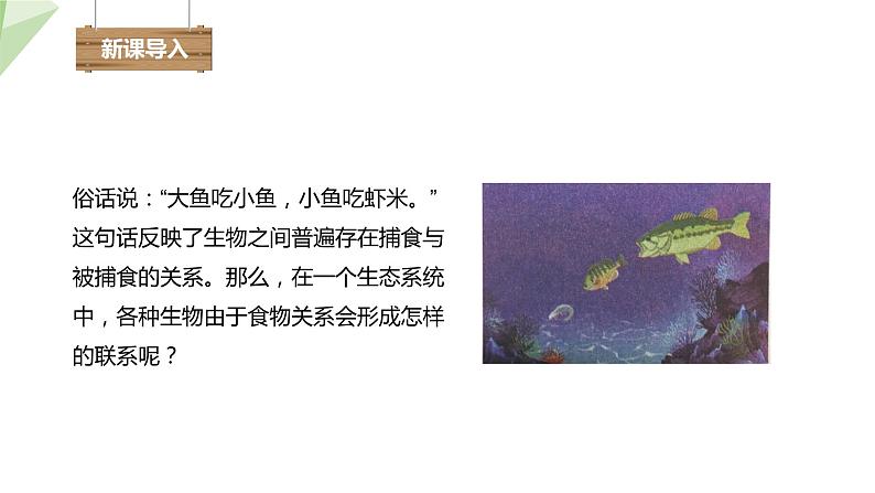 7.2.2 食物链和食物网 课件初中生物冀少版八年级下册02