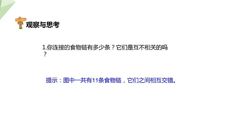 7.2.2 食物链和食物网 课件初中生物冀少版八年级下册08