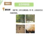 7.3.4 保护生态环境 课件初中生物冀少版八年级下册