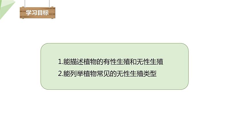 7.1.1 植物的生殖 课件  初中生物人教版八年级下册03