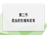 7.1.2 昆虫的生殖和发育 课件  初中生物人教版八年级下册