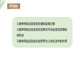 7.1.2 昆虫的生殖和发育 课件  初中生物人教版八年级下册