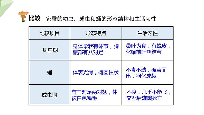 7.1.2 昆虫的生殖和发育 课件  初中生物人教版八年级下册08