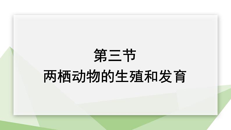 7.1.3 两栖动物的生殖和发育 课件  初中生物人教版八年级下册01