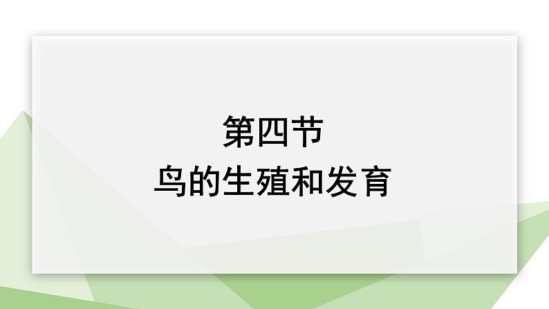 7.1.4 鸟的生殖和发育 课件2023-2024学年初中生物人教版八年级下册第1页