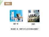 7.2.1 基因控制生物的性状 课件  初中生物人教版八年级下册
