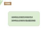 7.2.1 基因控制生物的性状 课件  初中生物人教版八年级下册