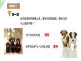 7.2.1 基因控制生物的性状 课件  初中生物人教版八年级下册