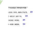 7.2.1 基因控制生物的性状 课件  初中生物人教版八年级下册