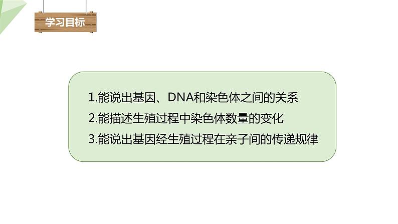 7.2.2 基因在亲子代间的传递 课件2023-2024学年初中生物人教版八年级下册第3页