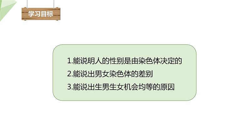 7.2.4 人的性别遗传 课件  初中生物人教版八年级下册03