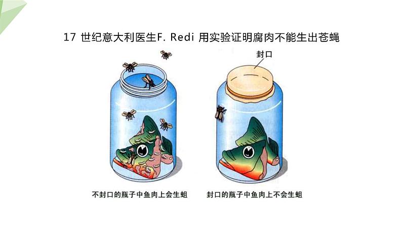 7.3.1 地球上生命的起源 课件  初中生物人教版八年级下册08