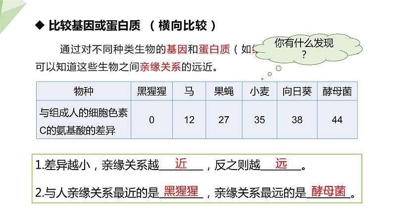 7.3.2 生物进化的历程 课件  初中生物人教版八年级下册07