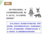 7.3.3 生物进化的原因 课件  初中生物人教版八年级下册