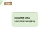 7.3.3 生物进化的原因 课件  初中生物人教版八年级下册