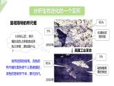 7.3.3 生物进化的原因 课件  初中生物人教版八年级下册