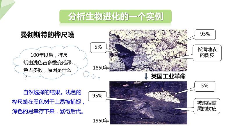 7.3.3 生物进化的原因 课件  初中生物人教版八年级下册05