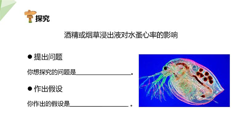 8.3.2 选择健康的生活方式 课件  初中生物人教版八年级下册08