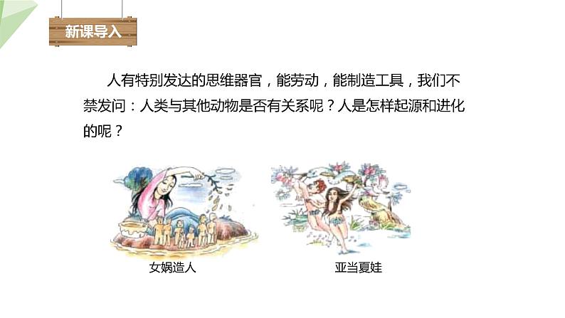 4.1.1 人类的起源和发展 课件2023-2024学年初中生物人教版七年级下册第2页