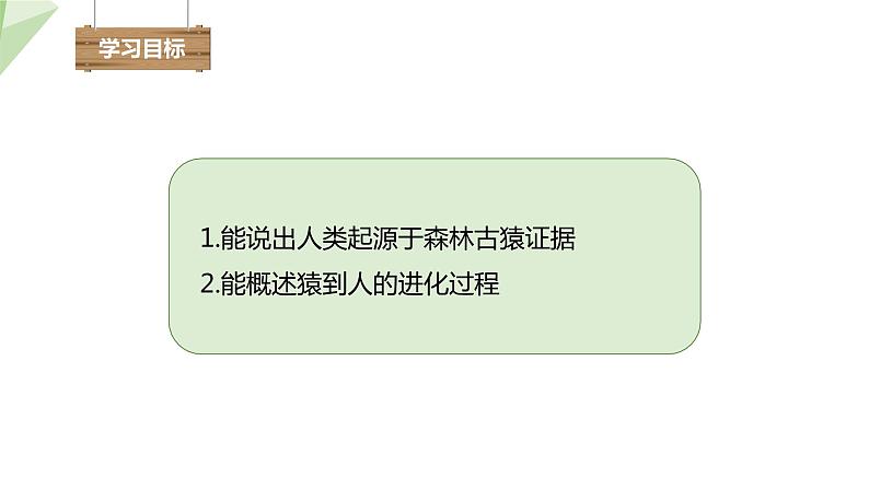 4.1.1 人类的起源和发展 课件2023-2024学年初中生物人教版七年级下册第3页