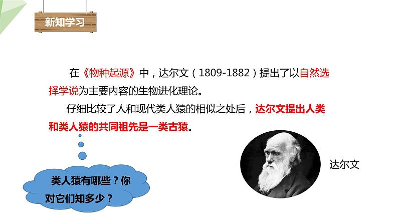 4.1.1 人类的起源和发展 课件2023-2024学年初中生物人教版七年级下册第4页