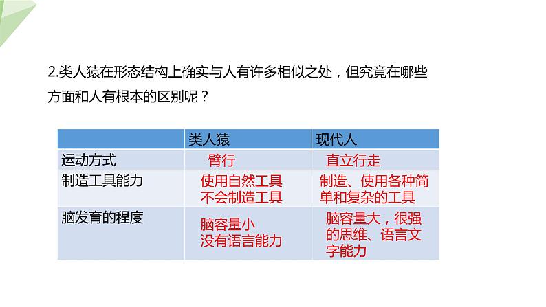 4.1.1 人类的起源和发展 课件2023-2024学年初中生物人教版七年级下册第7页