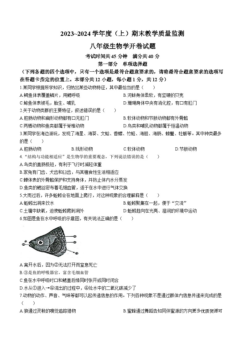 辽宁省丹东市东港市2023-2024学年八年级上学期期末生物试题(无答案)第1页
