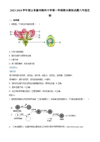 山东省滕州市鲍沟中学2023-2024学年八年级上学期期末模拟生物试题