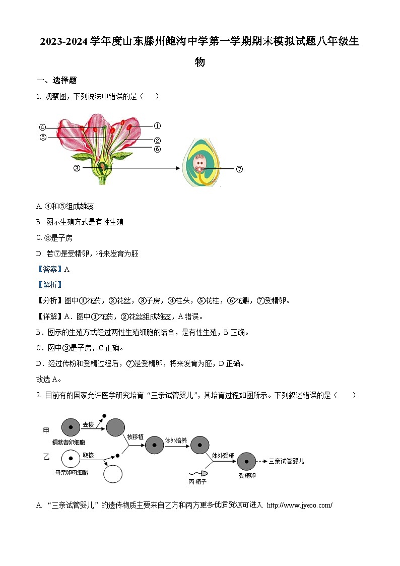 山东省滕州市鲍沟中学2023-2024学年八年级上学期期末模拟生物试题01