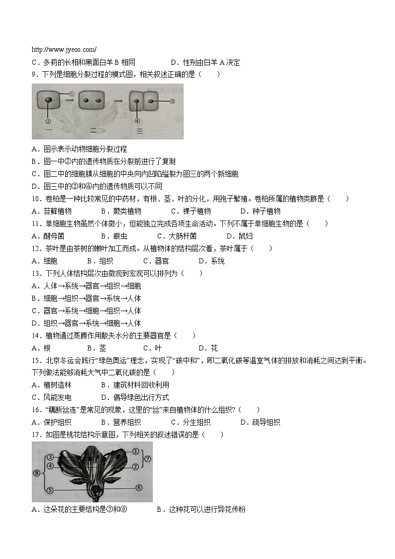 天津市西青区2023-2024学年七年级上学期期末学业质量检测生物试题(无答案)第2页