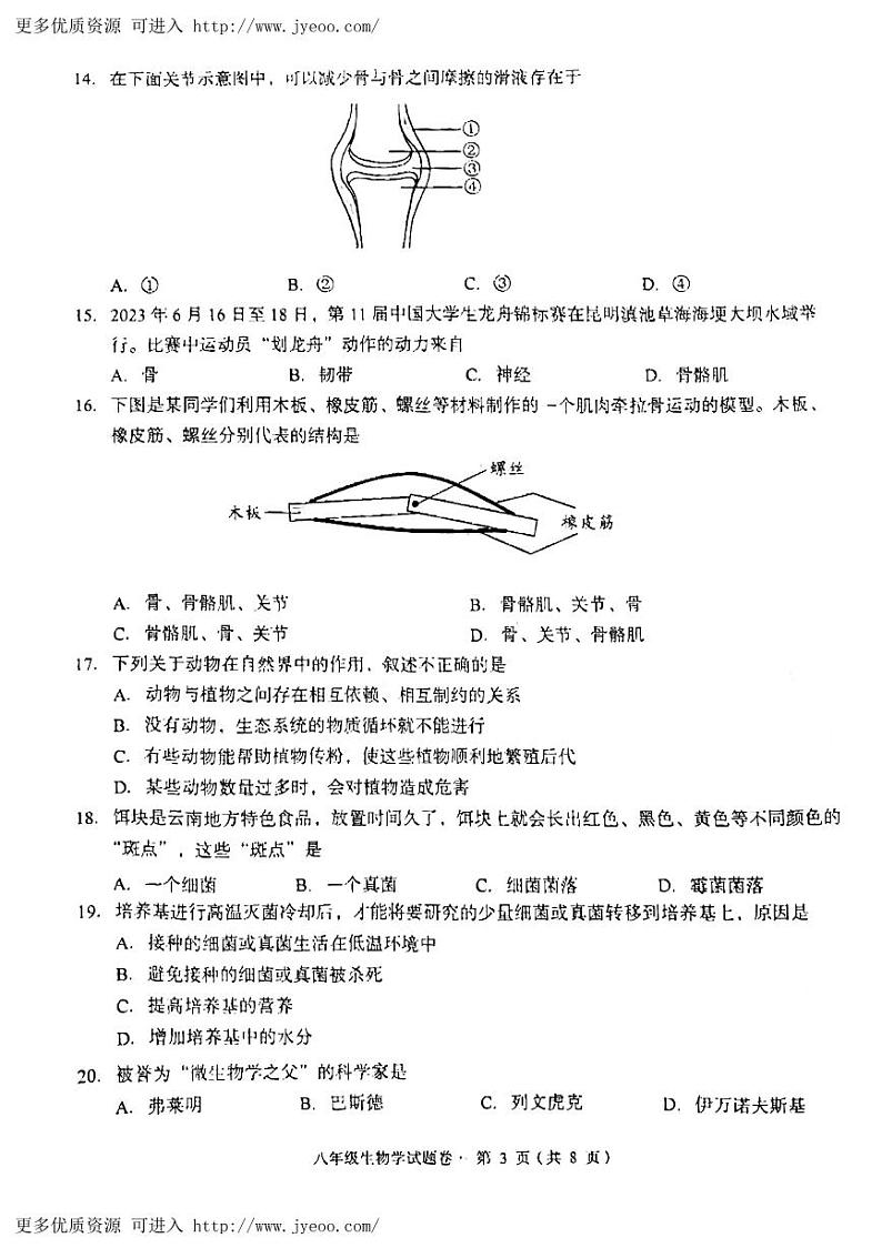 云南省昆明市盘龙区2023-2024学年八年级上学期期末生物试题03