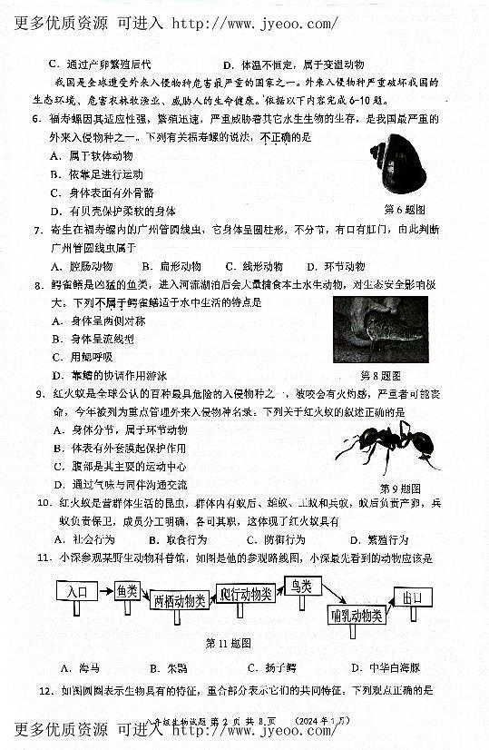 广东省深圳市龙岗区2023-2024学年八年级上学期期末生物试题第2页