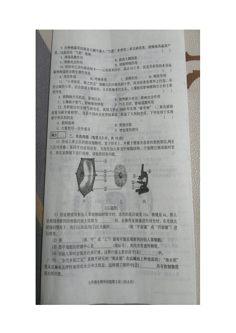 辽宁省沈阳市辽中区2023-2024学年七年级上学期期末生物试题03