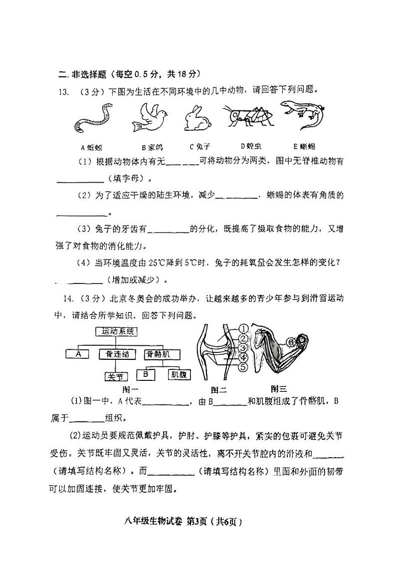 辽宁省阜新市海州区2023-2024学年八年级上学期期末生物试题03
