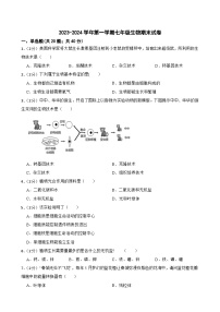 甘肃省武威市凉州区和平镇教研联片考试2023-2024学年七年级上学期期末生物试题