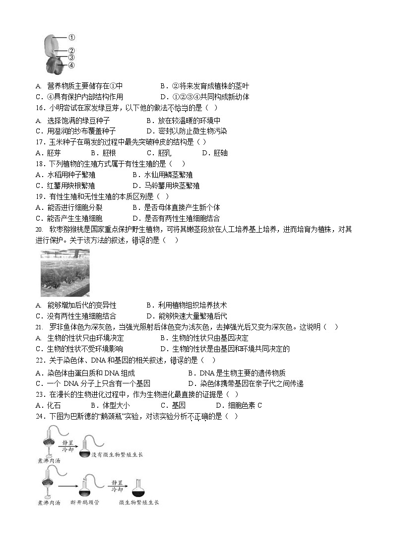 2024北京昌平初二上期末生物试卷和答案第3页