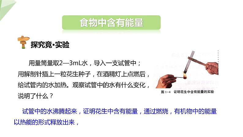 2.1.1 课时2 怎样实现合理膳食  课件 初中生物冀少版七年级下册第7页