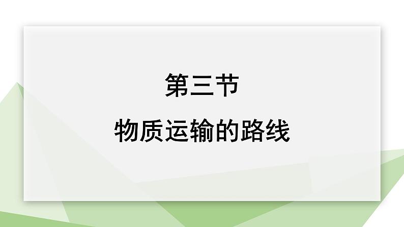 2.2.3 物质运输的路线  课件初中生物冀少版七年级下册01