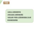 2.2.4 心脏和血管的保护  课件初中生物冀少版七年级下册